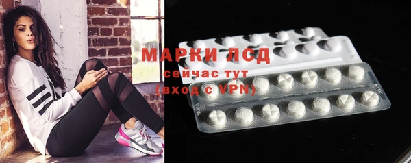 мяу мяу мука Абаза