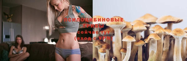 гидропоника Абинск