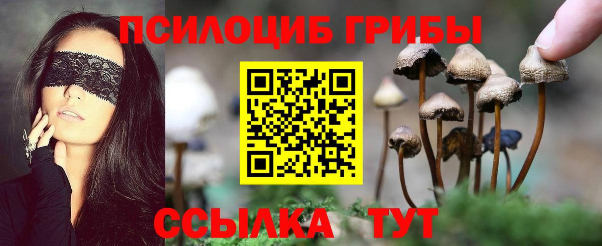 Псилоцибиновые грибы Cubensis  Вход с VPN  Приморско-Ахтарск 